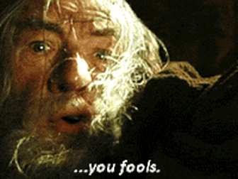 DopeyHonestEnglishsetter-size_restricted.gif