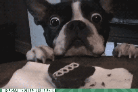 download.gif