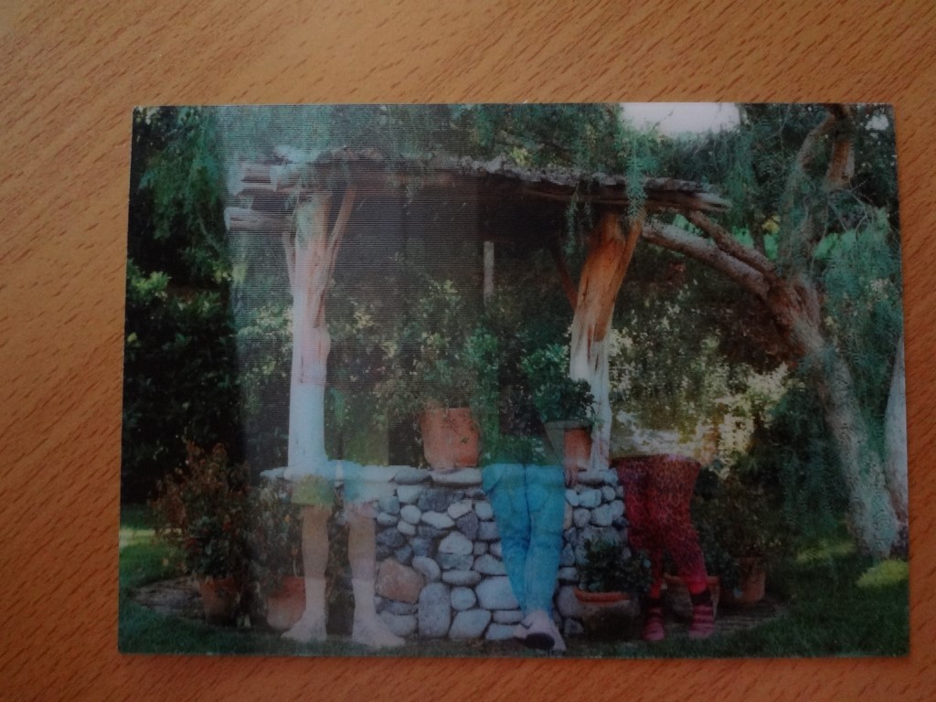 DSC01162 (Medium).JPG