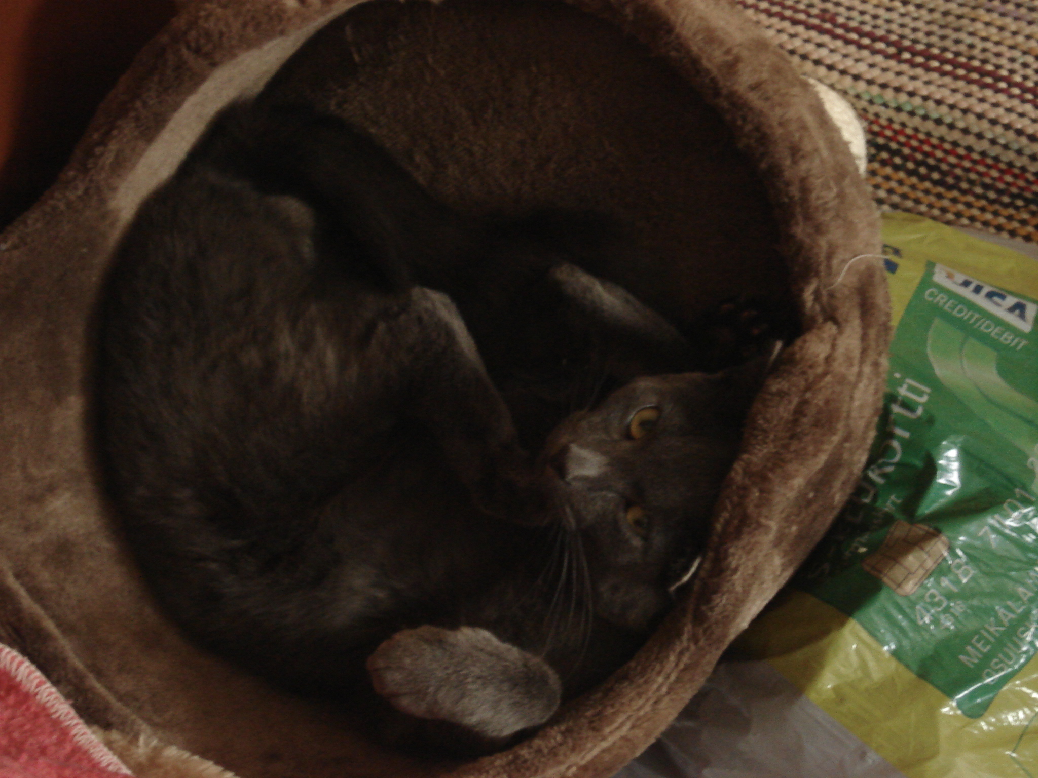 DSC02156.JPG