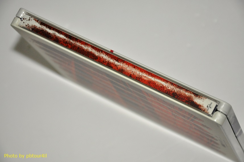 DSC_1655a.JPG