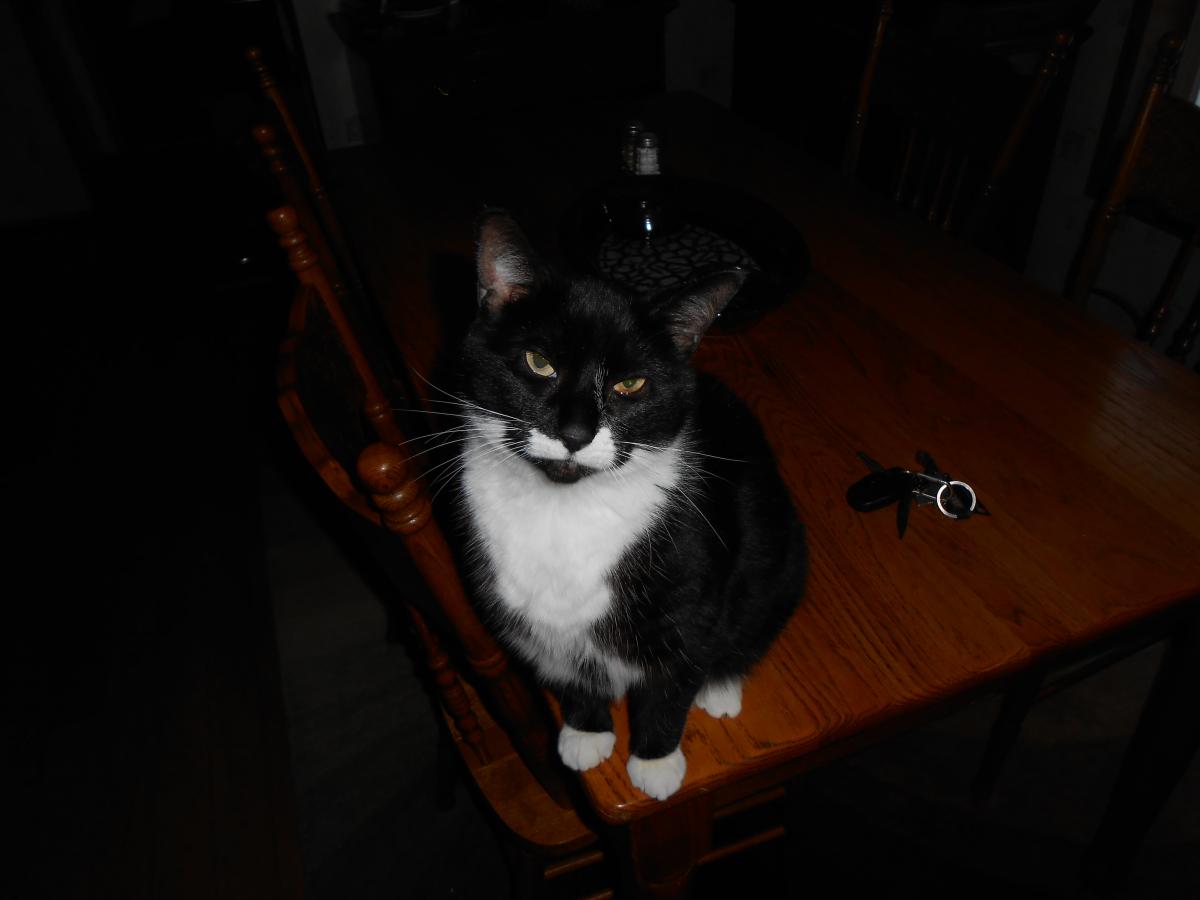 DSCN0091.jpg