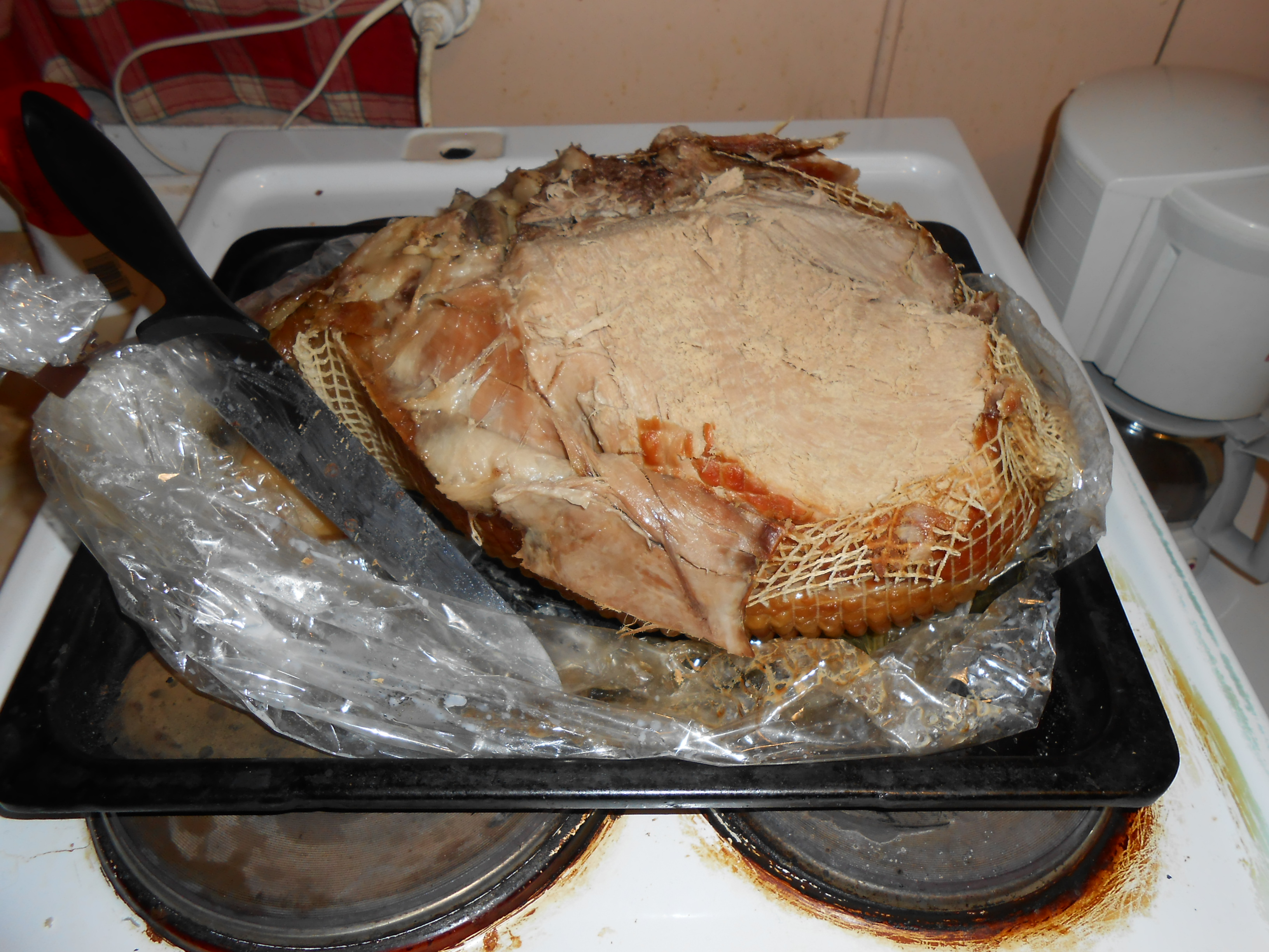 DSCN0169.JPG