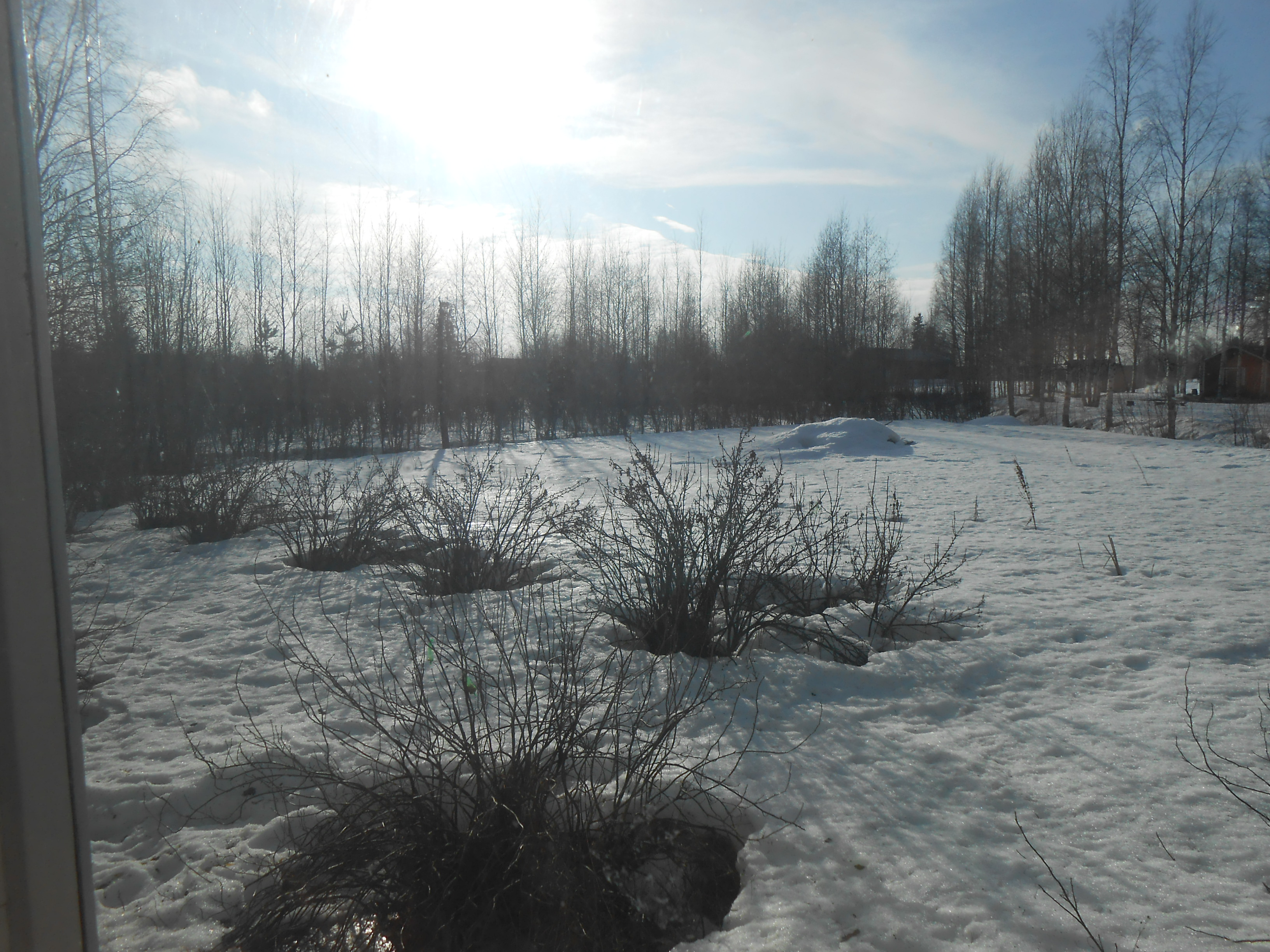 DSCN0342.JPG