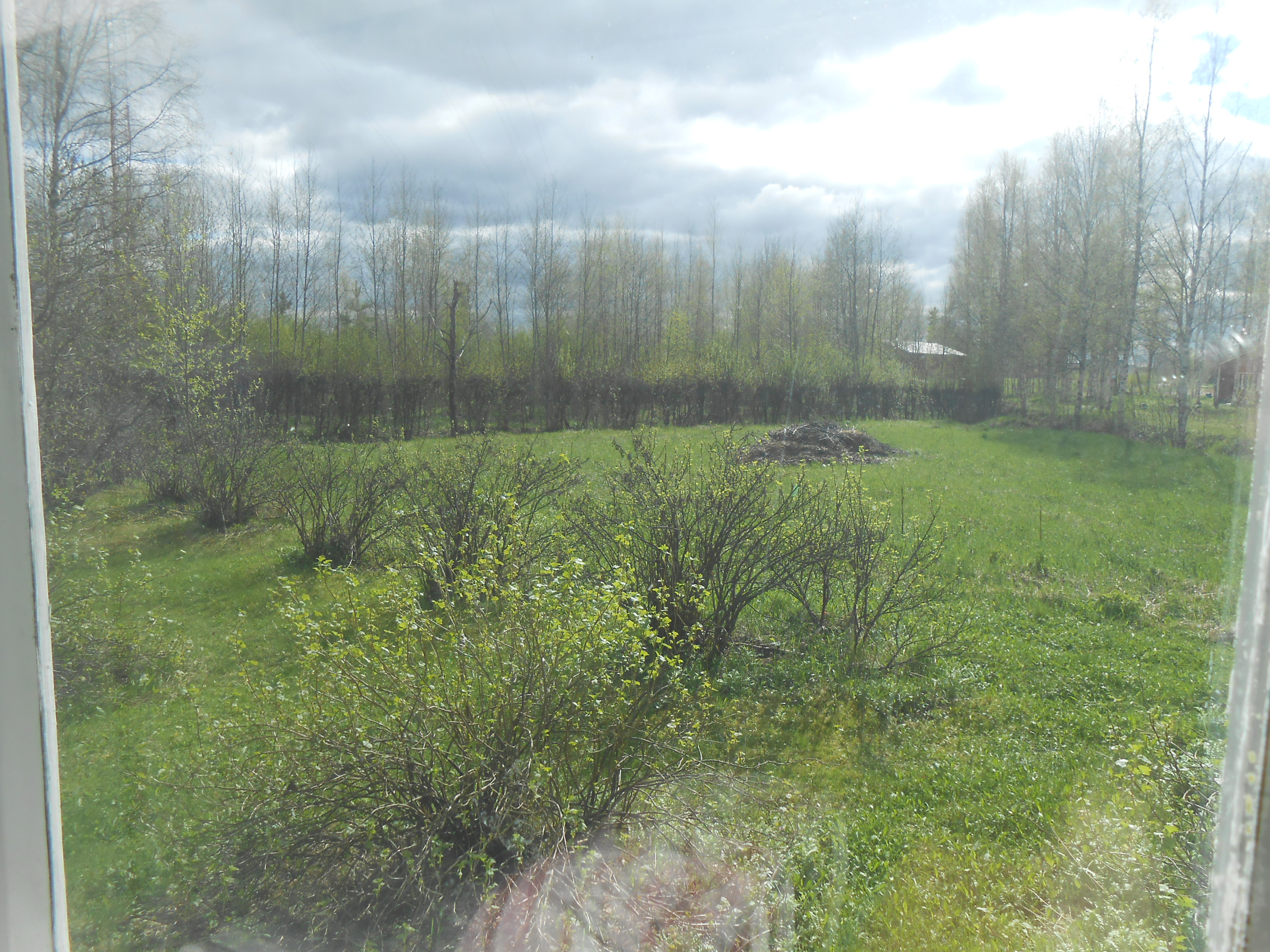 DSCN0438.JPG