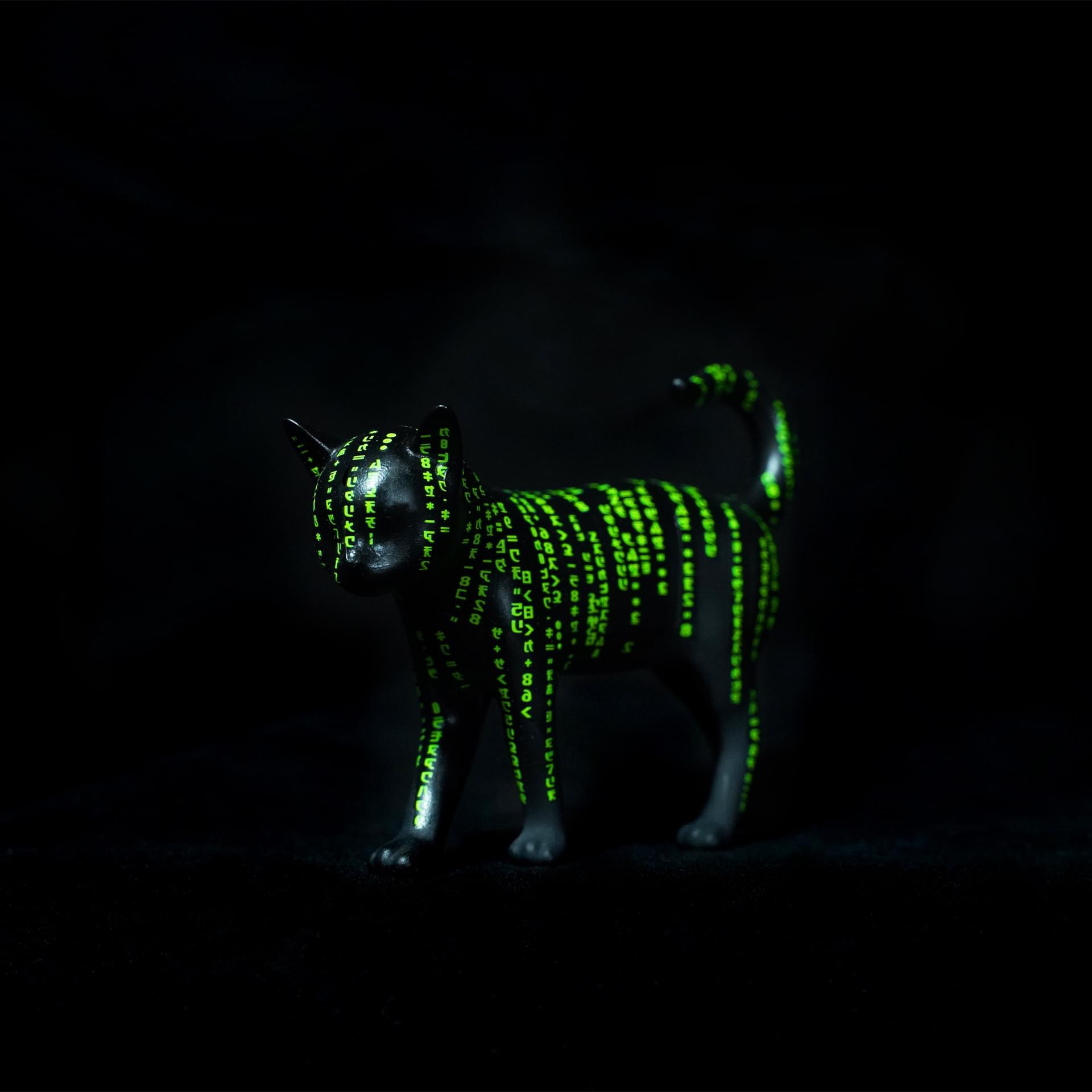 E61E5F06-9E49-4793-905C-6D527446E8D1.jpeg