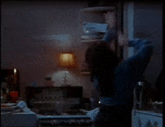 EnviousPlayfulAkitainu-max-1mb.gif