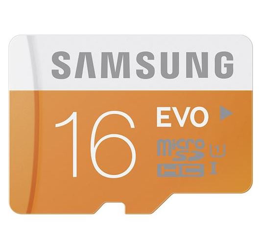 Evo16.JPG
