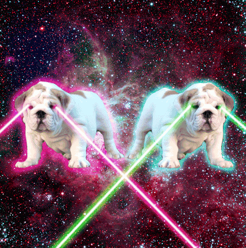 F4E690A4-B442-471C-8258-AD994BB196A4.gif