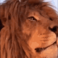 F676C277-EF9B-44B2-9DF0-8364D4D31EB2.gif