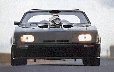 falconfront.jpg