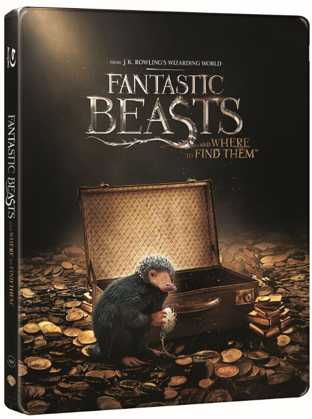 fantastic_beasts_and_where_to_find_them_-_limited_steelbook_3d-39552068.jpg
