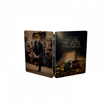 FANTASTIC_BEASTS_i1_0629.fit-to-width.431x431.q80.png