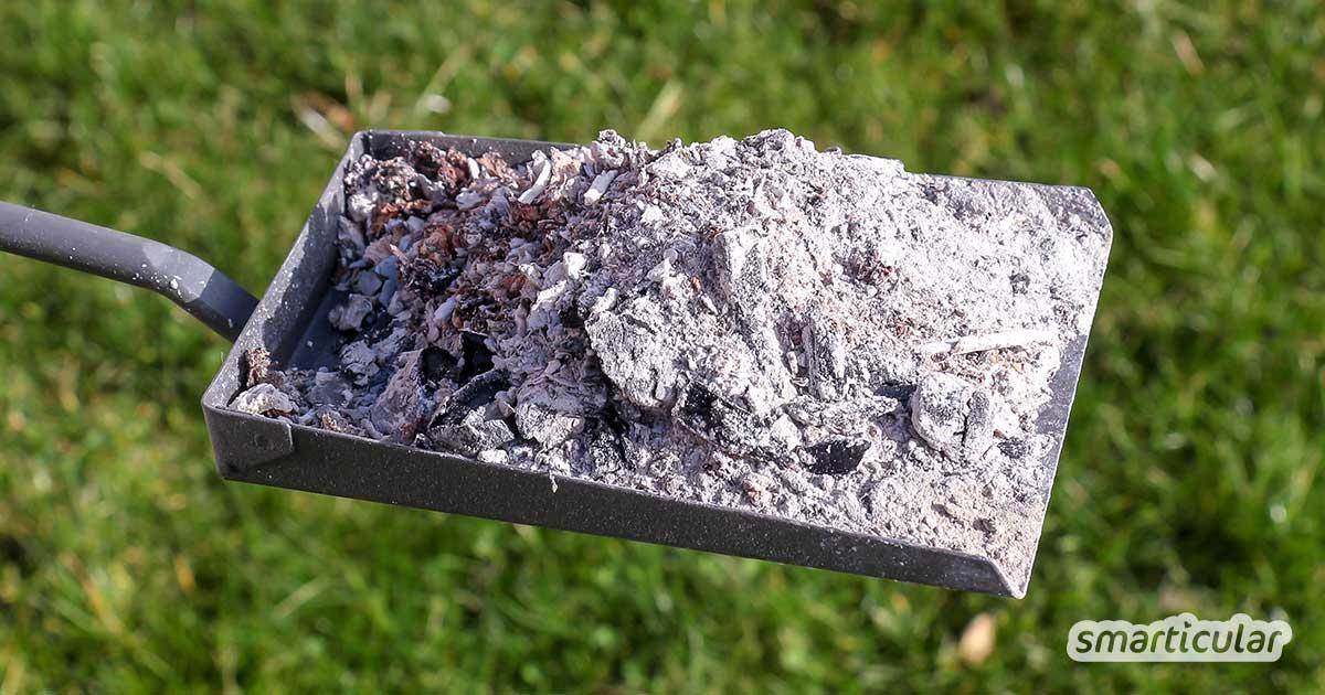 fb-anwendungen-fuer-holzasche-1-1.jpg