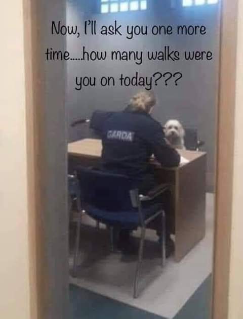 FB_IMG_1586276878031.jpg