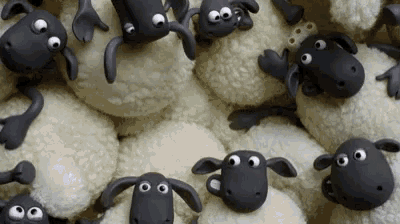 flock-sheep.gif