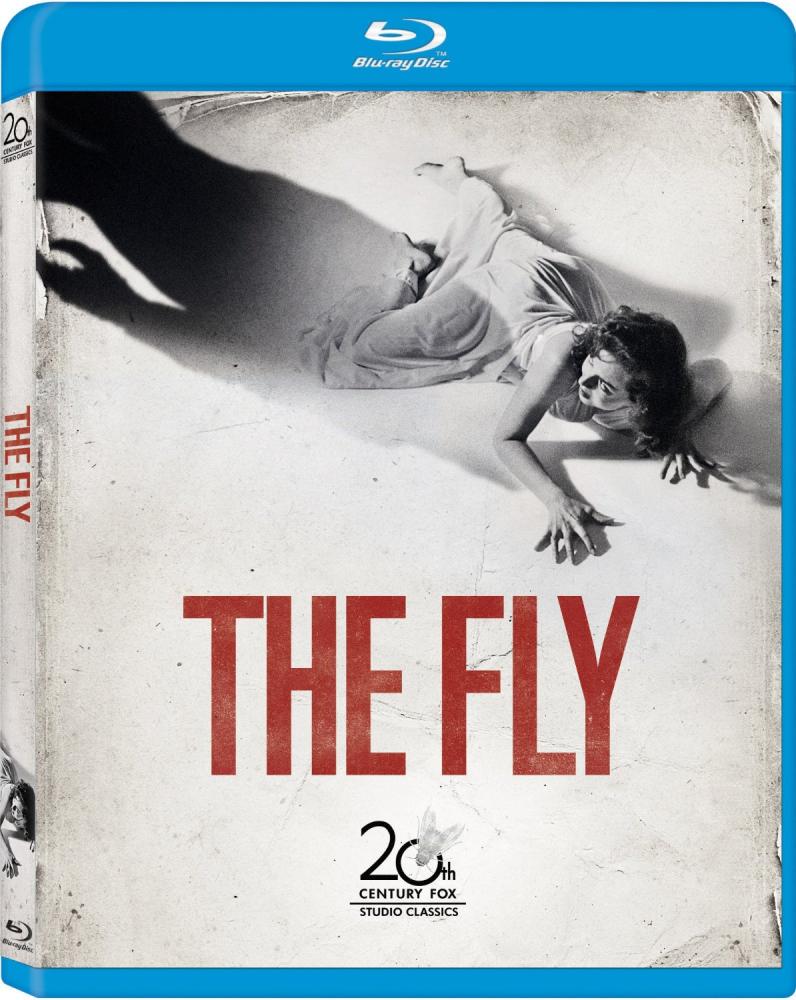 fly.jpg