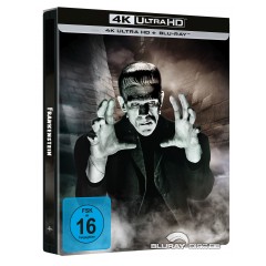 frankenstein-1931-4k-4k-uhd---blu-ray.jpg