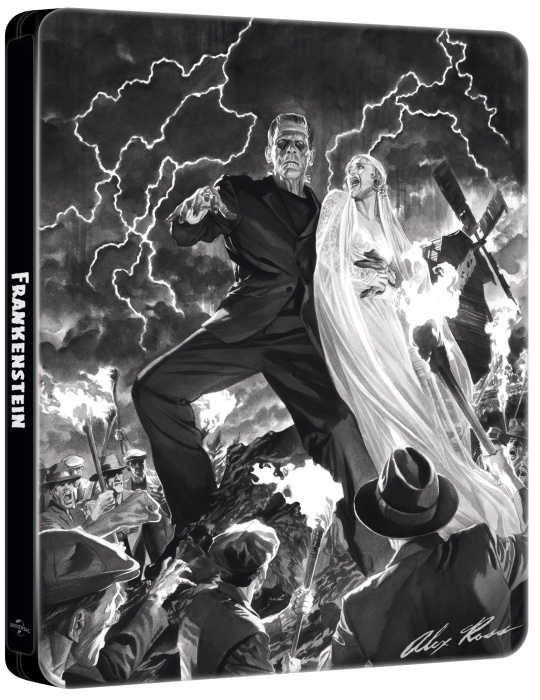 frankenstein_-_limited_steelbook_blu-ray_no-40524206-.jpg
