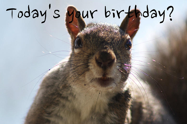 funny-birthday-card-migsy-veillette.jpg