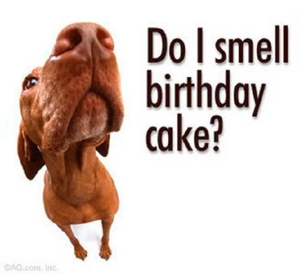Funny-Happy-birthday-pictures-to-you-2.jpg