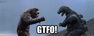 giphy (1).gif