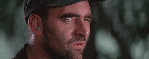 giphy (1).gif