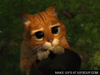 giphy (1).gif