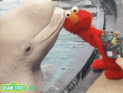 giphy (15).gif