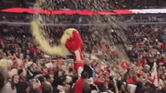 giphy (2) (1).gif