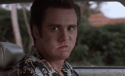 giphy (2).gif