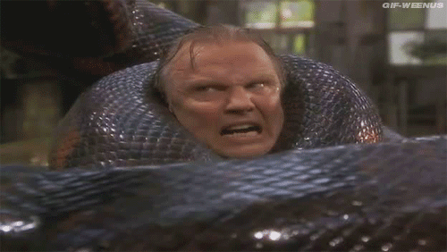 giphy (29).gif
