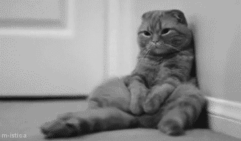 giphy (3).gif
