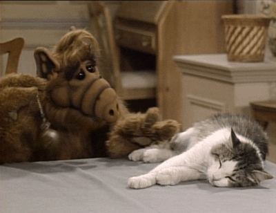 giphy-3.gif