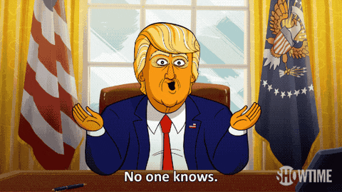 giphy (5).gif