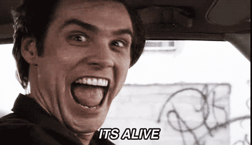 giphy (6).gif