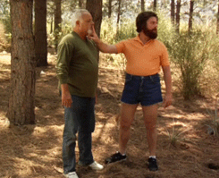 giphy.gif