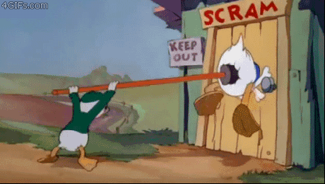 giphy6.gif