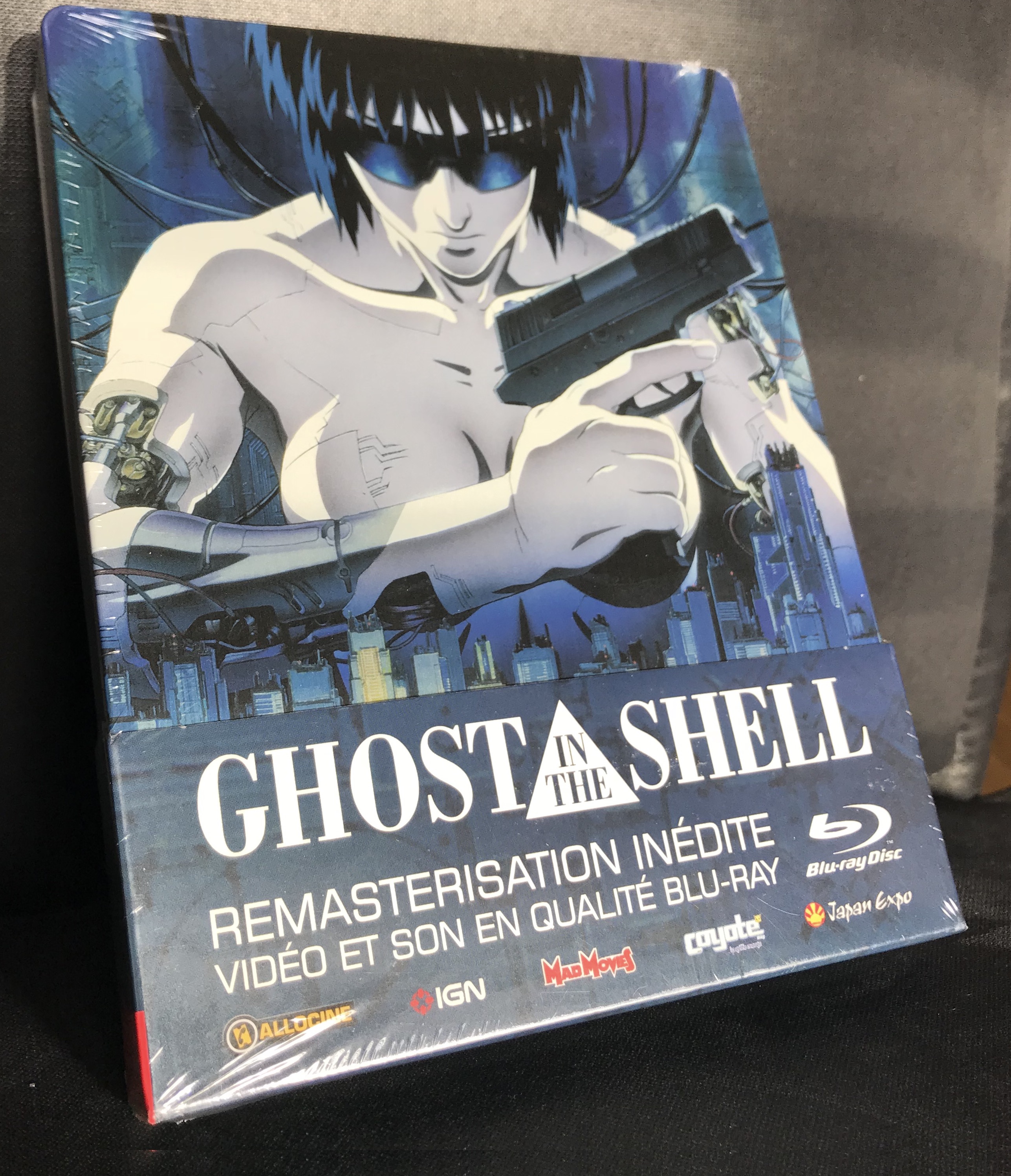 gits.jpg