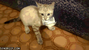 greed!.gif