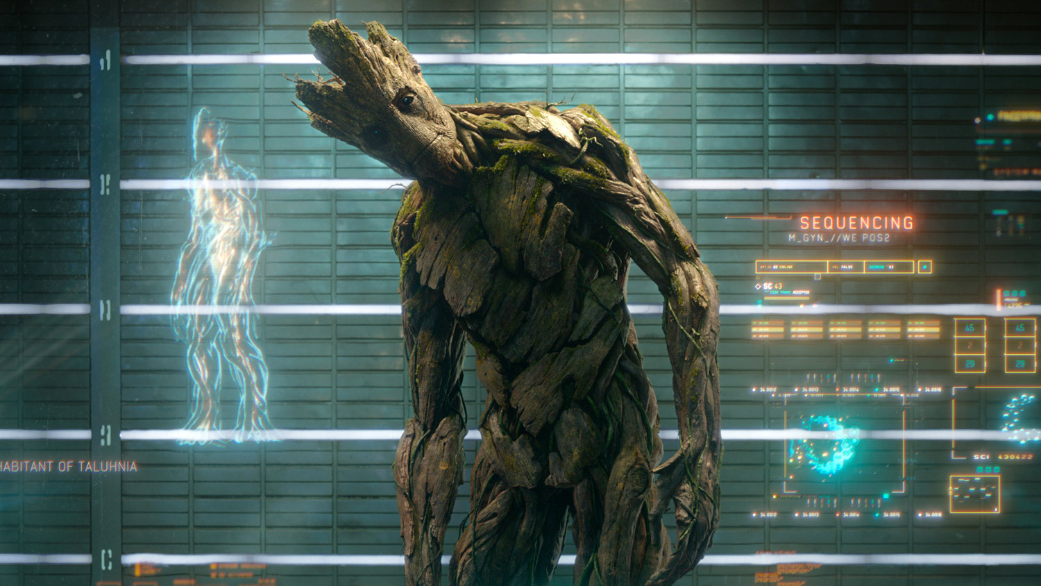 groot.jpg