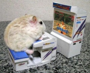 hamster-video-game-maze1-300x243.jpg