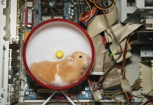 hamster_computer_sm_high-300x206.jpg