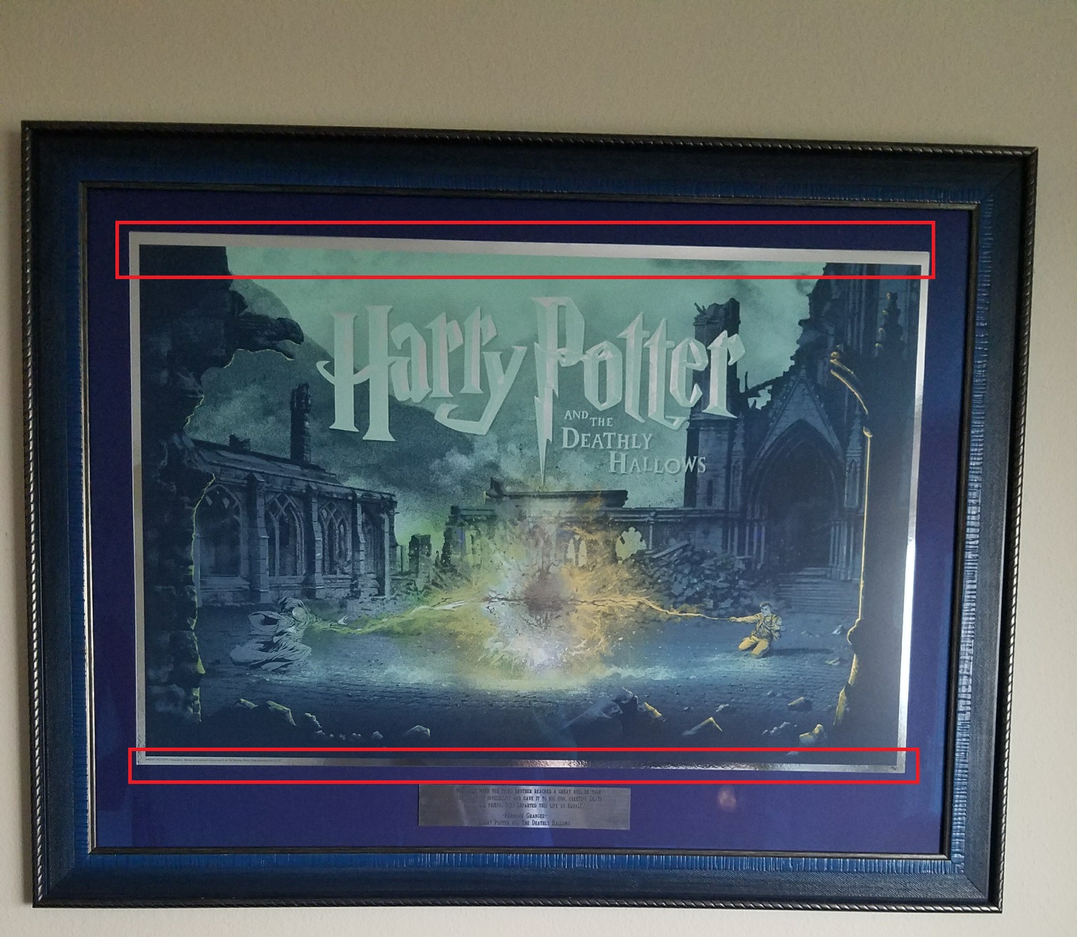 harry.jpg