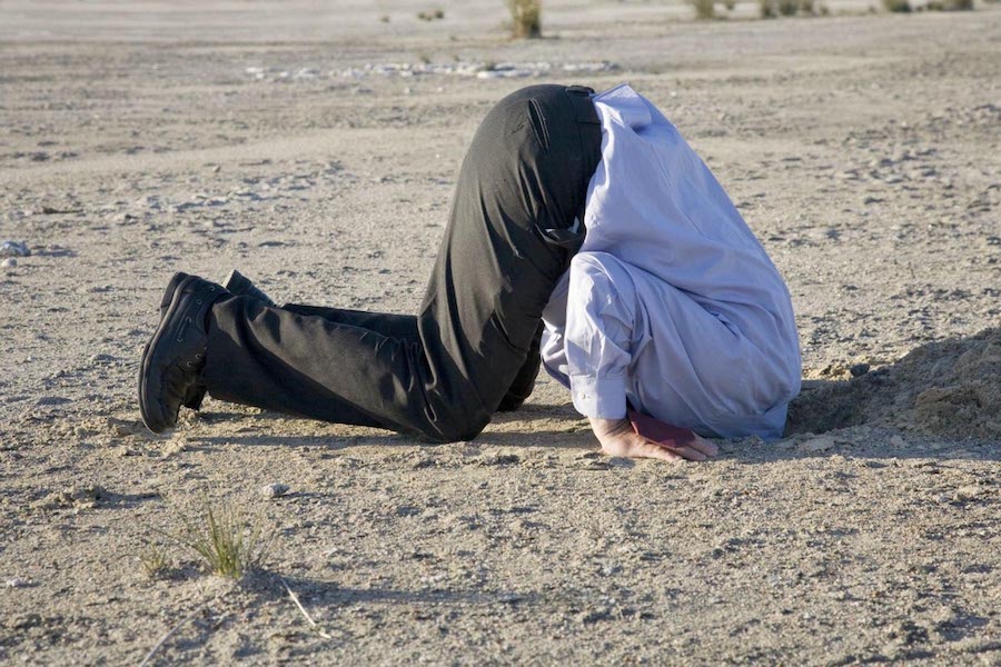 headinsand.jpg