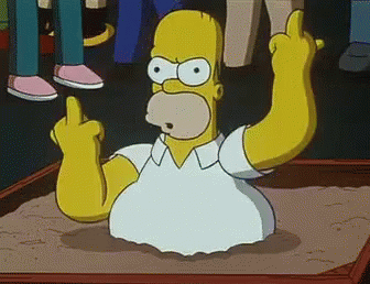 homer flip.gif