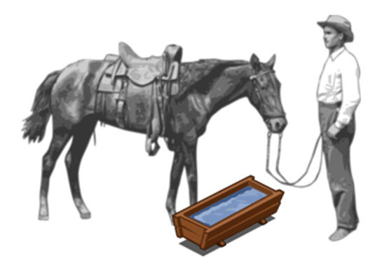 horse to water.jpg