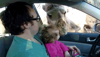 hump!.gif