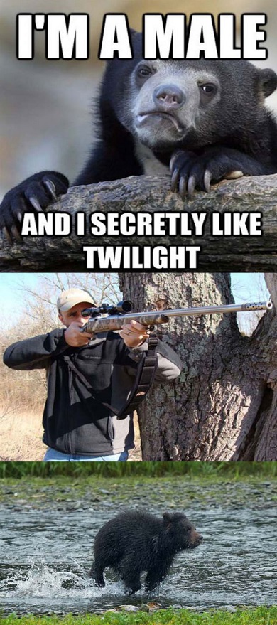 im-male-and-i-secretly-like-twilight.jpg