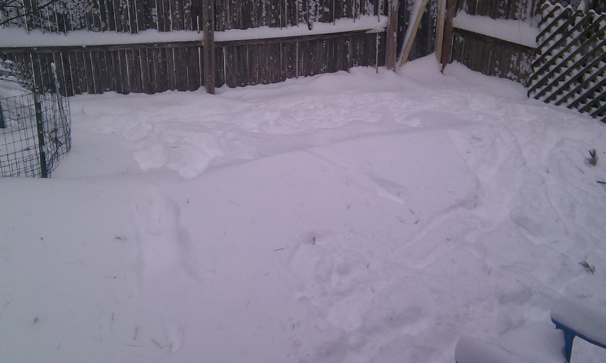 IMAG0092.jpg